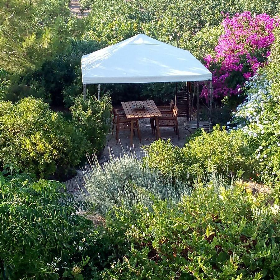 Aegina'S Oasis Villa Exterior photo