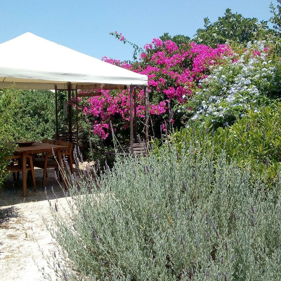 Aegina'S Oasis Villa Exterior photo