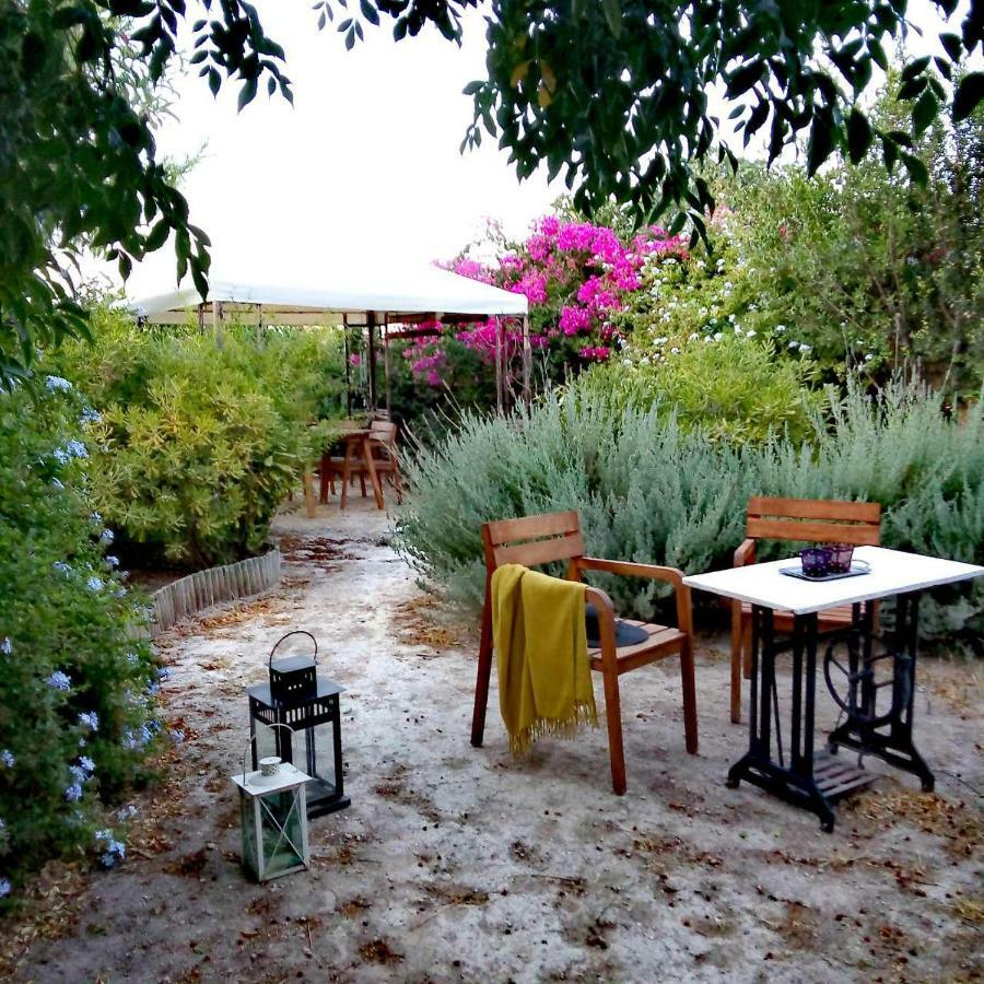 Aegina'S Oasis Villa Exterior photo