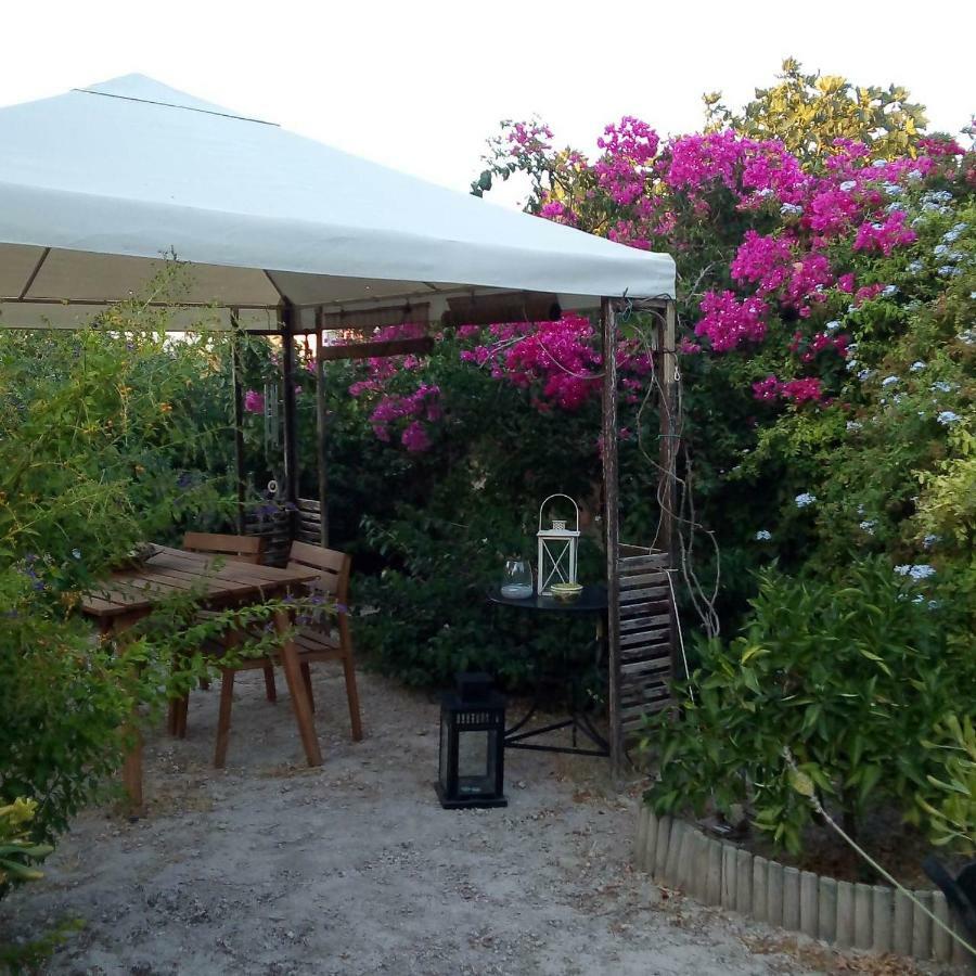 Aegina'S Oasis Villa Exterior photo